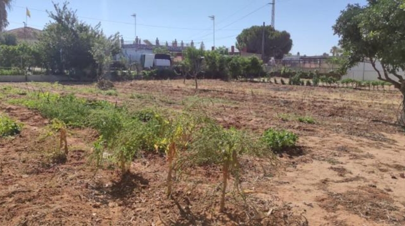 Cádiz - Sanlúcar de Barrameda - 1800m2