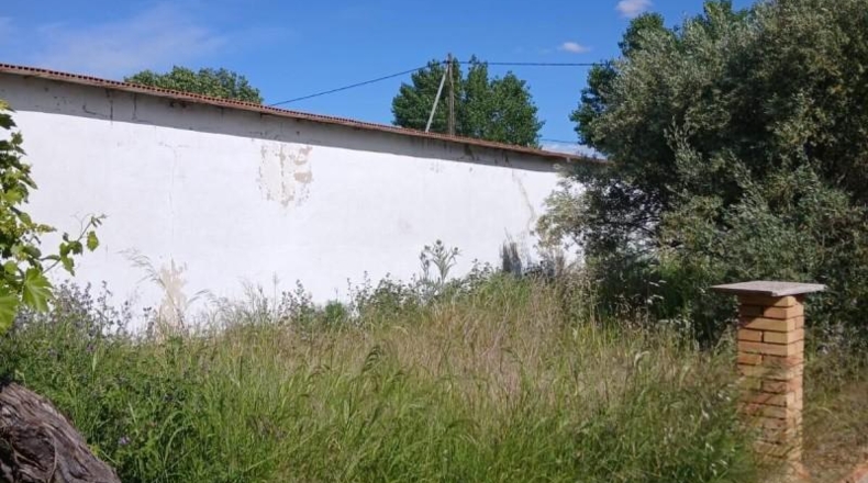 Albacete - Casas de Ves - 766m2