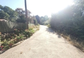 Detached villa with land for sale on España, Valdastillas, ref: TR263861 photo