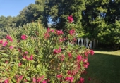 Detached villa with land for sale on España, Valdastillas, ref: TR263861 photo