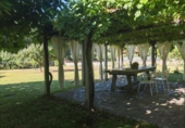 Detached villa with land for sale on España, Valdastillas, ref: TR263861 photo