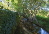 Detached villa with land for sale on España, Valdastillas, ref: TR263861 photo