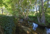 Detached villa with land for sale on España, Valdastillas, ref: TR263861 photo