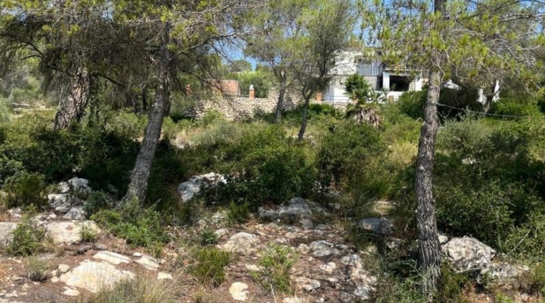 Barcelona - Sant Pere de Ribes - 943m2