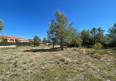 Parcel·la urbanitzable en venda a la España, Mont-roig del Camp, ref.: TR340939 foto