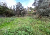 Parcel·la urbanitzable en venda a la España, Vacarisses, ref.: TR342083 foto