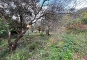 Parcel·la urbanitzable en venda a la España, Vacarisses, ref.: TR342083 foto