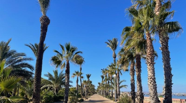 Murcia - Cartagena - 869m2