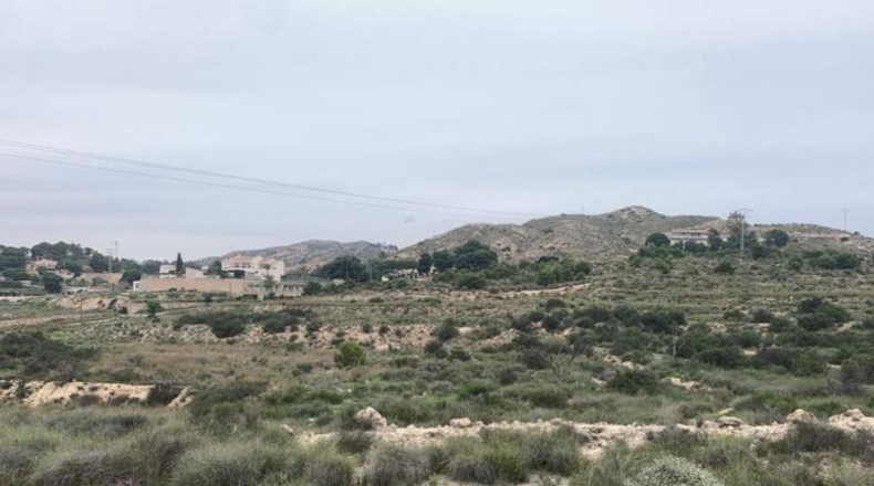 Alicante - Elche - 30000m2