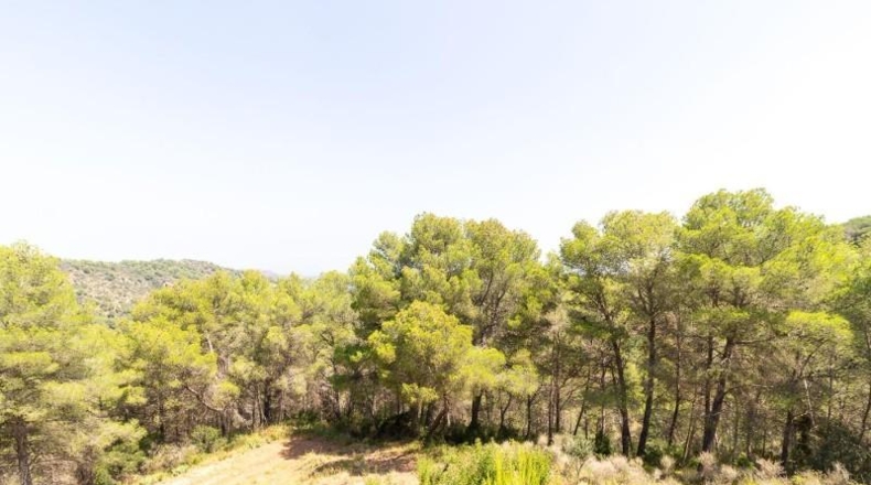 Valencia - Estivella - 1120m2