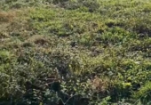 Sòl urbà en venda a la España, Renedo de Piélagos, ref.: TR361155 foto