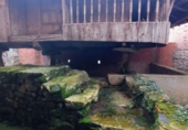 Casa de camp amb terreny en venda a la España, Tineo, ref.: TR280504 foto