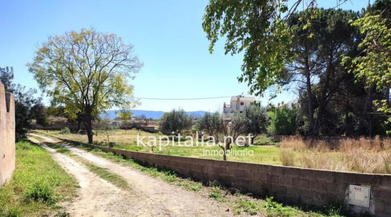 Valencia - l'Alcúdia de Crespins - 1492m2