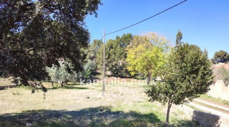 Valencia - l'Alcúdia de Crespins - 1492m2