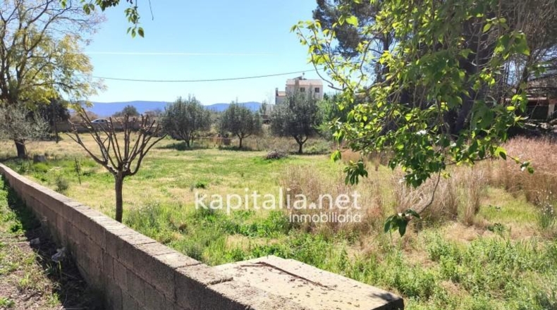 Valencia - l'Alcúdia de Crespins - 1492m2
