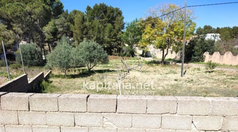 Valencia - l'Alcúdia de Crespins - 1492m2