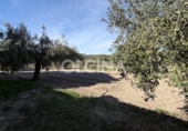 Xalet independent amb terreny en venda a la España, Tibi, ref.: TR357028 foto