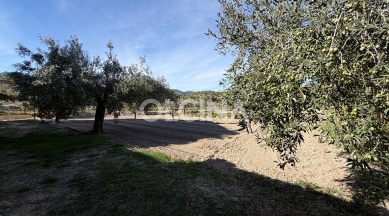 Alicante - Tibi - 299m2