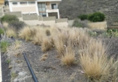 Sòl urbà en venda a la España, Candelaria, ref.: TR115028 foto