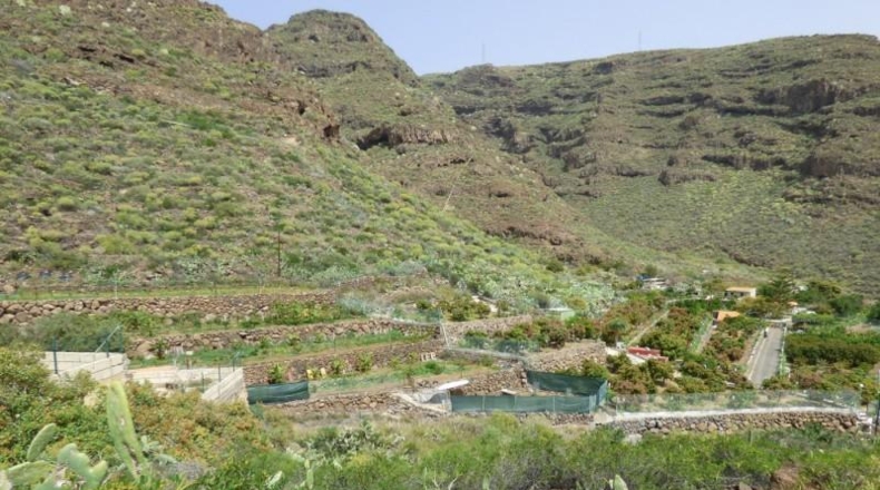Santa Cruz de Tenerife - Candelaria - 1160m2