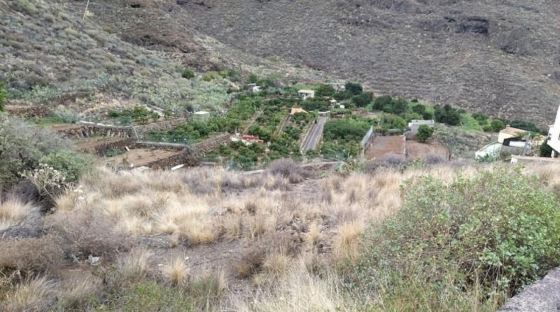 Santa Cruz de Tenerife - Candelaria - 1160m2