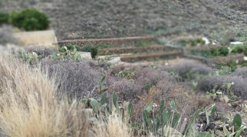 Santa Cruz de Tenerife - Candelaria - 1160m2