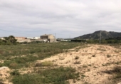 Terreny no urbanitzable en venda a la España, Blanca, ref.: TR115936 foto