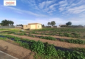 Casa de poble en venda a la España, Chipiona, ref.: TR296817 foto