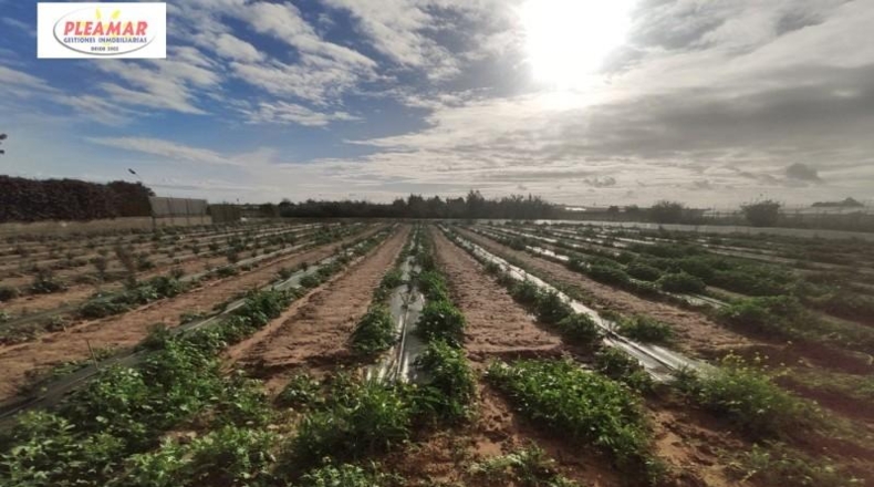 Cádiz - Chipiona - 82m2