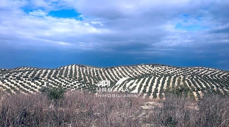 Córdoba - Aguilar de la Frontera - 125213m2