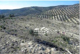 Aguilar de la Frontera 125213&nbsp;м²