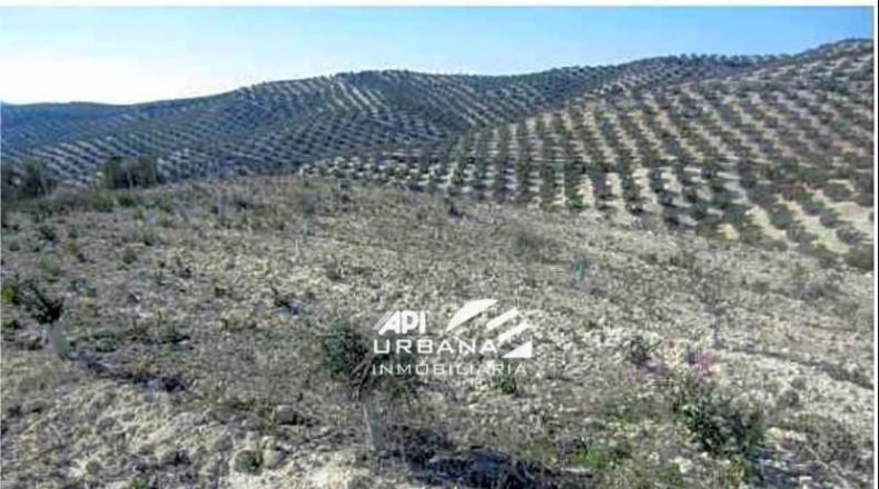 Córdoba - Aguilar de la Frontera - 125213m2