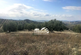 Aguilar de la Frontera 125213&nbsp;м²