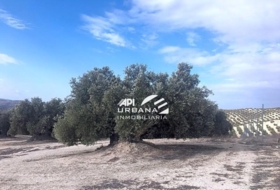 Aguilar de la Frontera 125213&nbsp;м²
