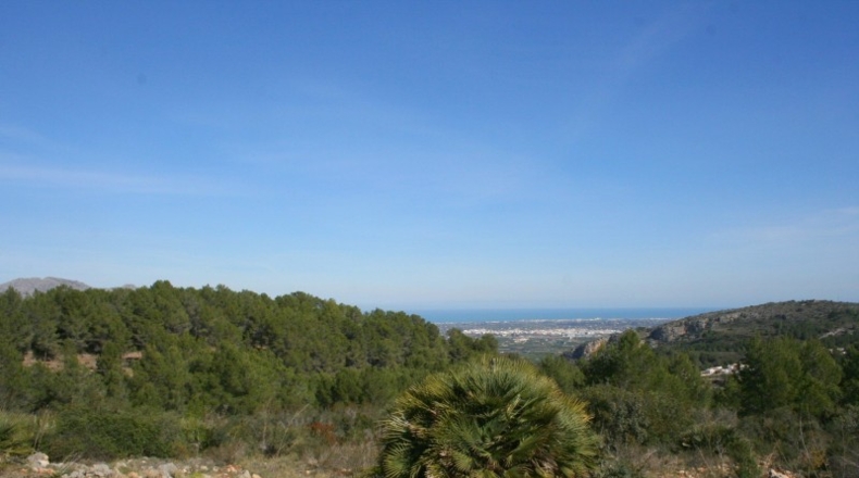 Alicante - Benidoleig - 10222m2