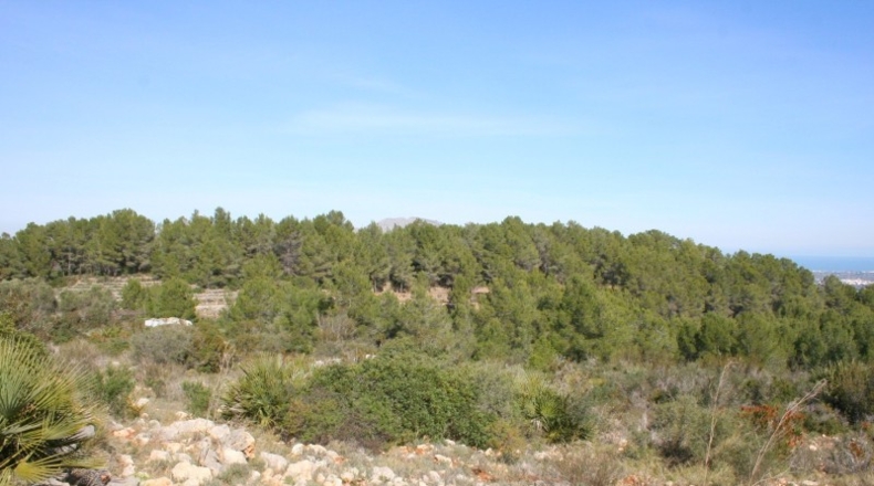 Alicante - Benidoleig - 10222m2