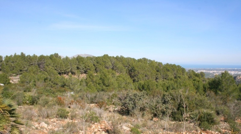 Alicante - Benidoleig - 10222m2