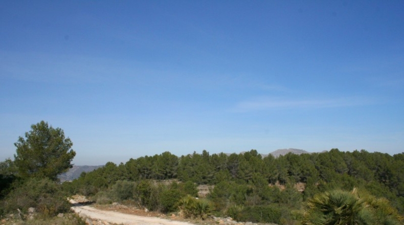Alicante - Benidoleig - 10222m2