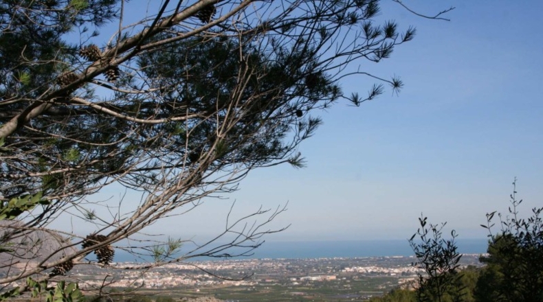 Alicante - Benidoleig - 10222m2