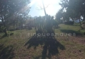 Parcel·la urbanitzable en venda a la España, Vacarisses, ref.: TR123368 foto
