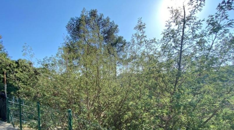 Barcelona - Sant Cugat del Vallès - 471m2