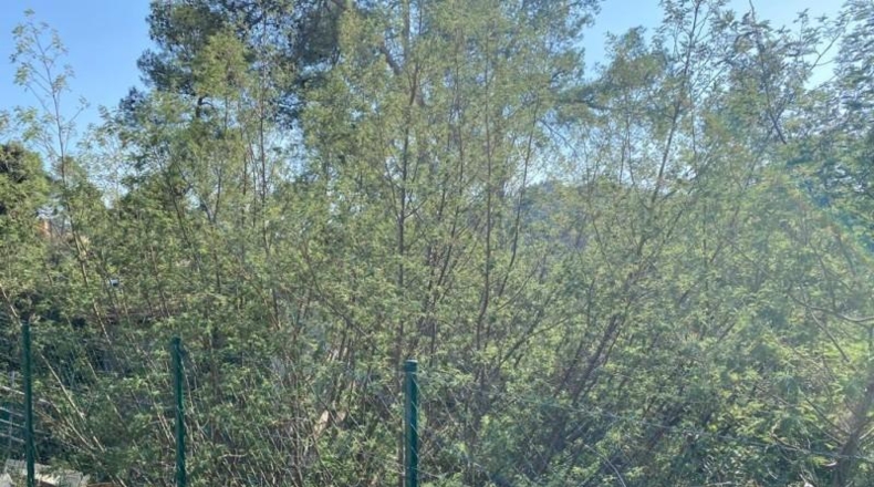 Barcelona - Sant Cugat del Vallès - 471m2