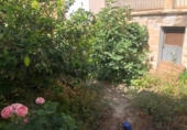 Casa de poble en venda a la España, Berja, ref.: TR294256 foto