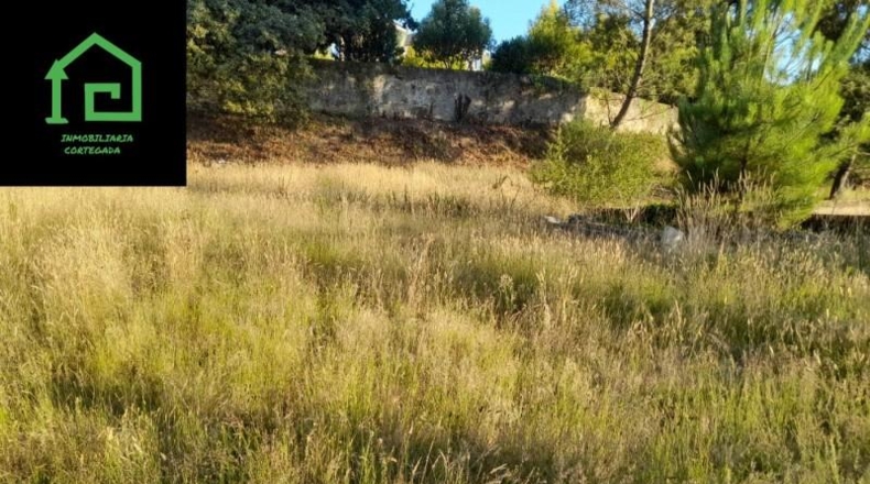 Pontevedra - Vilagarcía de Arousa - 2130m2