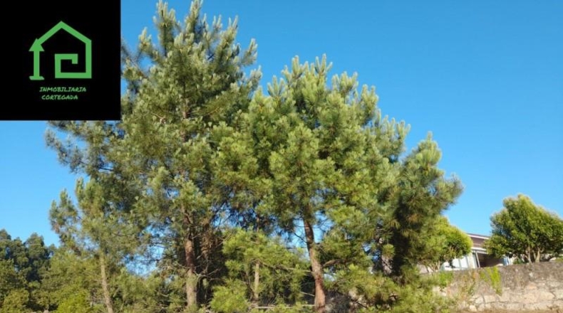 Pontevedra - Vilagarcía de Arousa - 2130m2