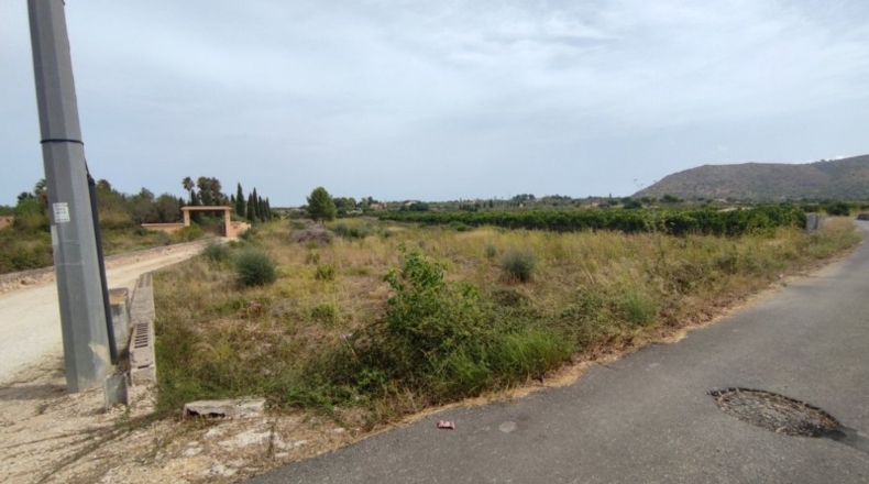 Alicante - Pedreguer - 10000m2