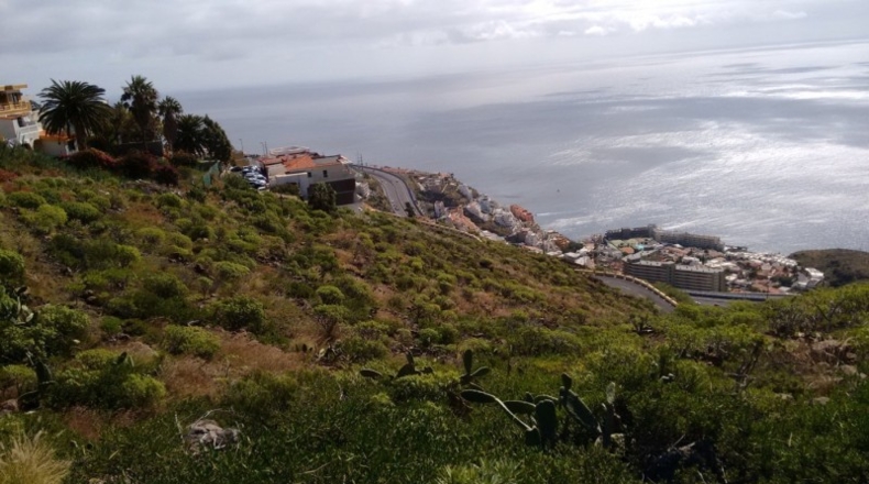 Santa Cruz de Tenerife - Tabaiba - 390m2
