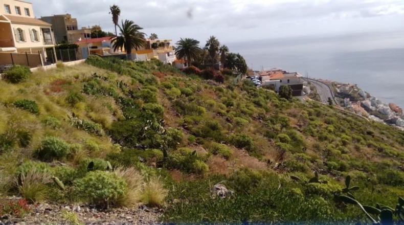 Santa Cruz de Tenerife - Tabaiba - 390m2