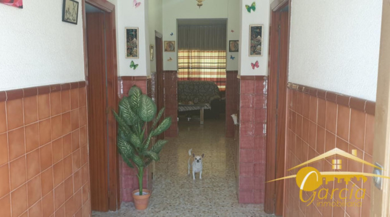 Badajoz - Almendralejo - 260m2