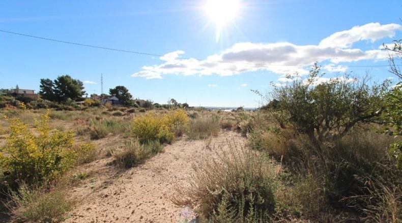 Alicante - Elche - 5033m2